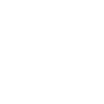 Action Icon